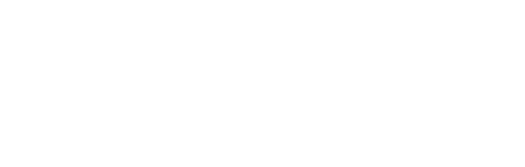 Wilkinson Stekloff
